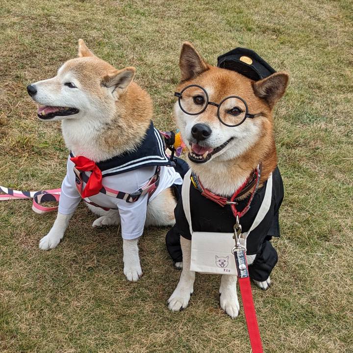 2250938c 78b4 4bea 8956 994cd188626d 1699580531758