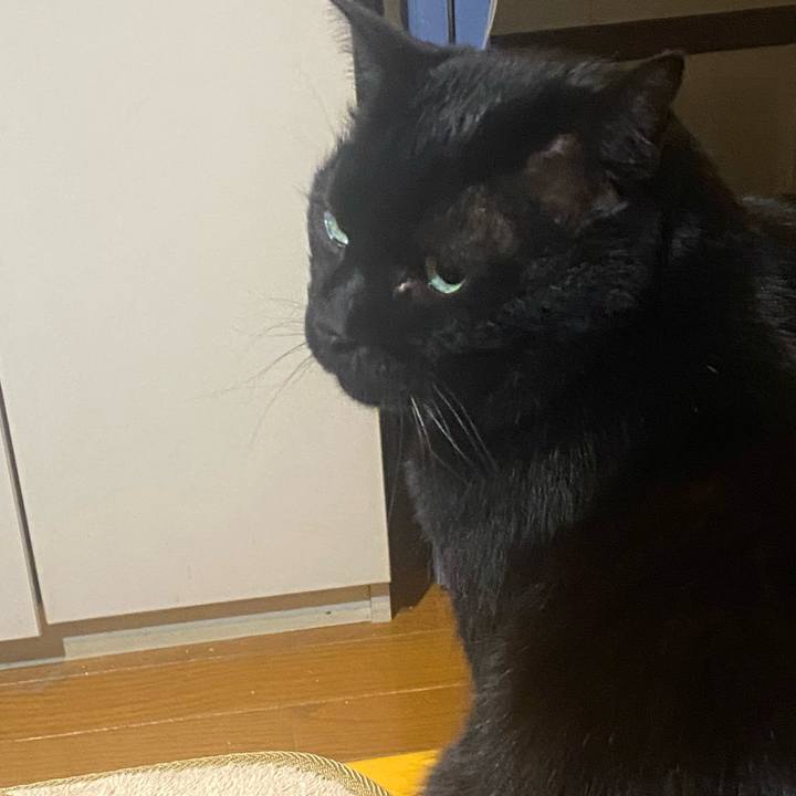 2250de04 1688 4781 bb02 10e8eac77bd6 1742311171536