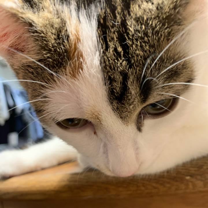 2250f03b 39e4 4b24 a57d b1f0ff58653f 1599477884953