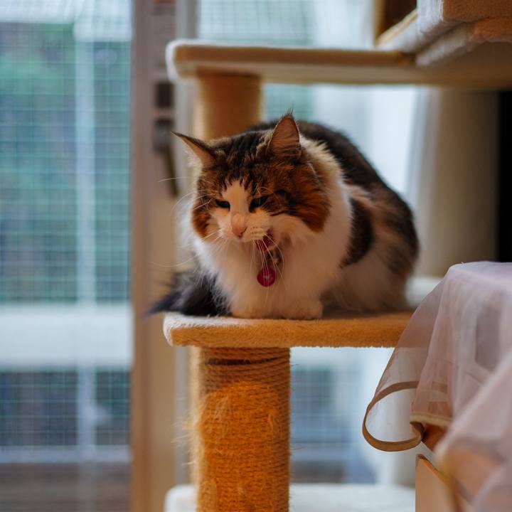 2250fc4a a3dd 40b8 9723 d95998615fc5 1708513545227