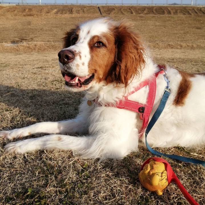 2250fd0b 219e 48e4 8e17 2751bc6caf58 1610613385974