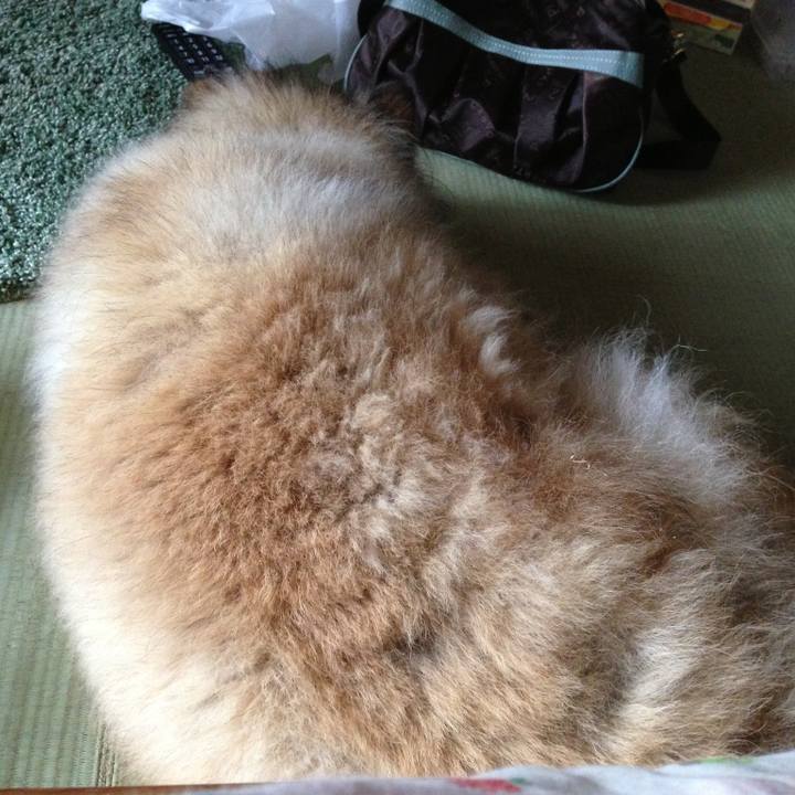 225116b1 584b 4359 ab25 f73eab0f93c5 1629167955549