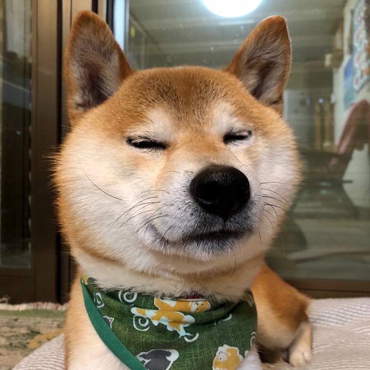 22513860 ef75 41d7 857c 839750c6ed21 1526119530851