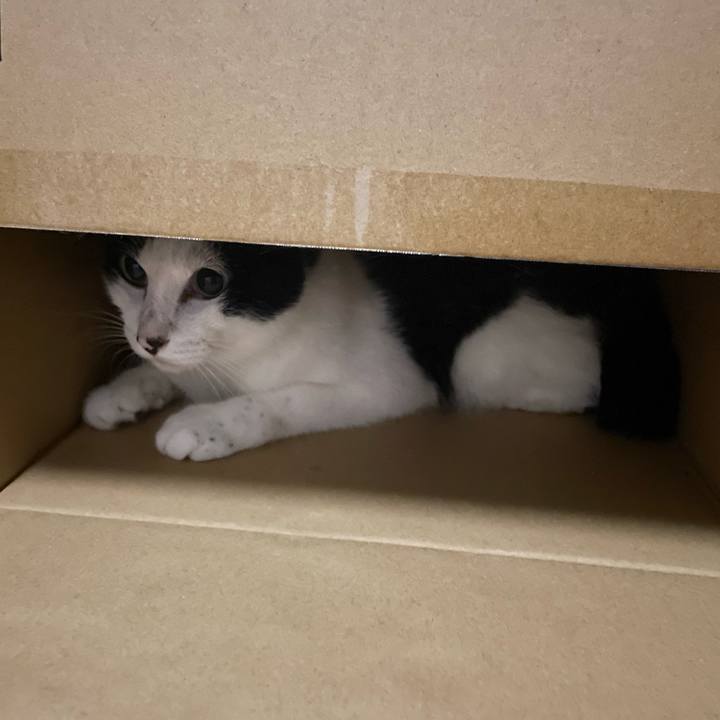 22514043 023e 4112 95b3 06558135486f 1660151993720