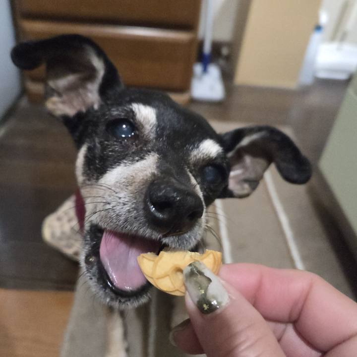 22515e27 1d89 4bfd ba44 3be8e69a7fb9 1770234570104