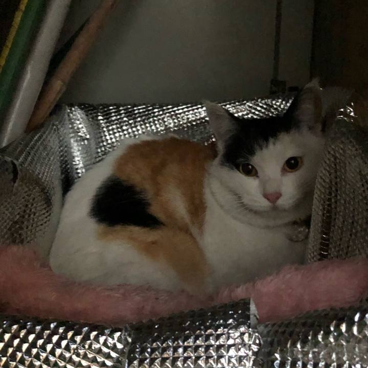 22516938 e326 4567 a736 f18f0b84262d 1611094485842