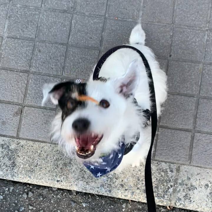 22516f28 42f7 44e2 8d87 74c62fcf91be 1724540112714