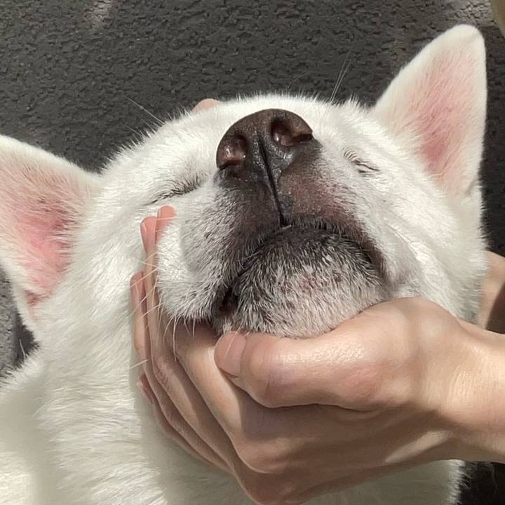 225172b0 576c 470e bef6 24a3027ec640 1713521325121