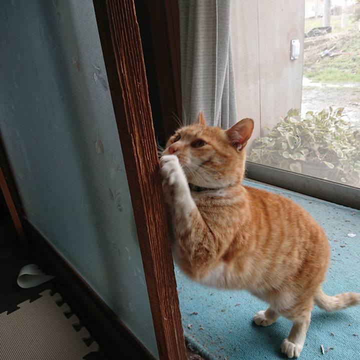 22519a0c 7c58 4be8 8d54 eff185f5696a 1584676309618