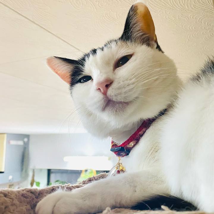 22522ed9 1ba9 48c7 bf7b 9b16914de710 1706399108653