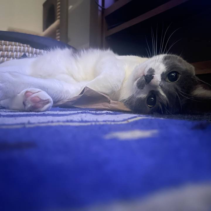 22523282 1495 46e7 bc75 a6dee6c8174b 1687640153665