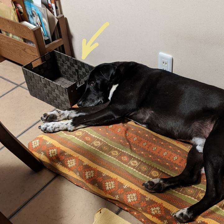 2252356c c07c 438c 9879 067365bc082a 1668683446458