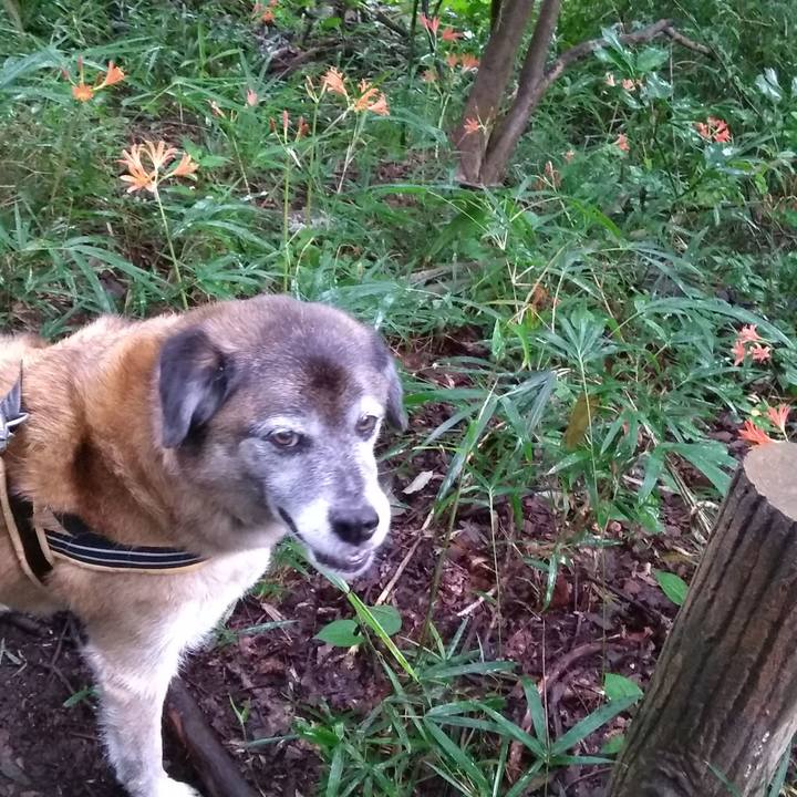 22523cdb 24b2 4751 af72 039348a8b1c9 1566949094637