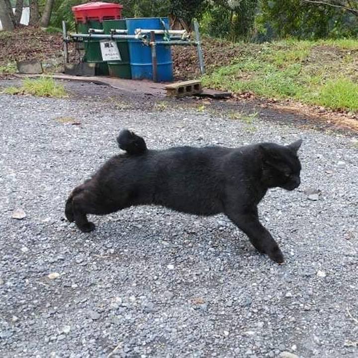 22529e8a 38ad 44c5 8edd 8748b937095a 1634255326549