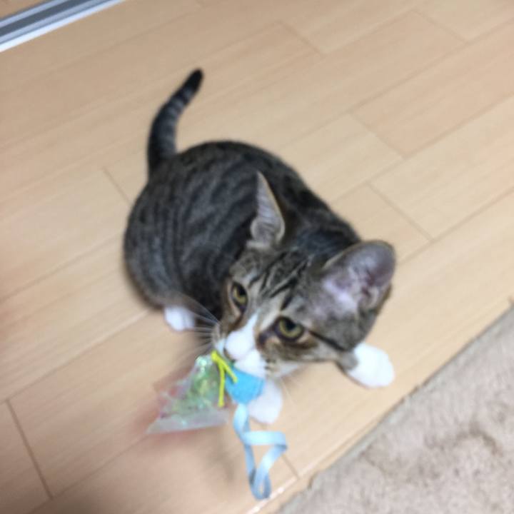 22529fa6 f509 451d 99b3 b454c55e9957 1540633968334