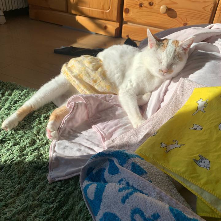 2252e67c cd75 43c6 9999 e8352265384e 1643762875802