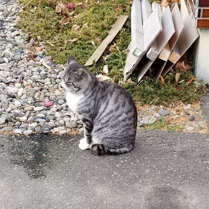 22532bb4 f0e6 4976 b661 584e9a2d1bd6 1668349817349