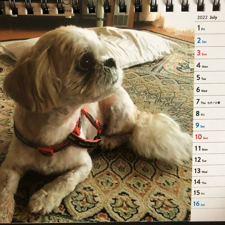 2253532e 14ed 4f15 98c8 9b9cf3af9856 1656884508079