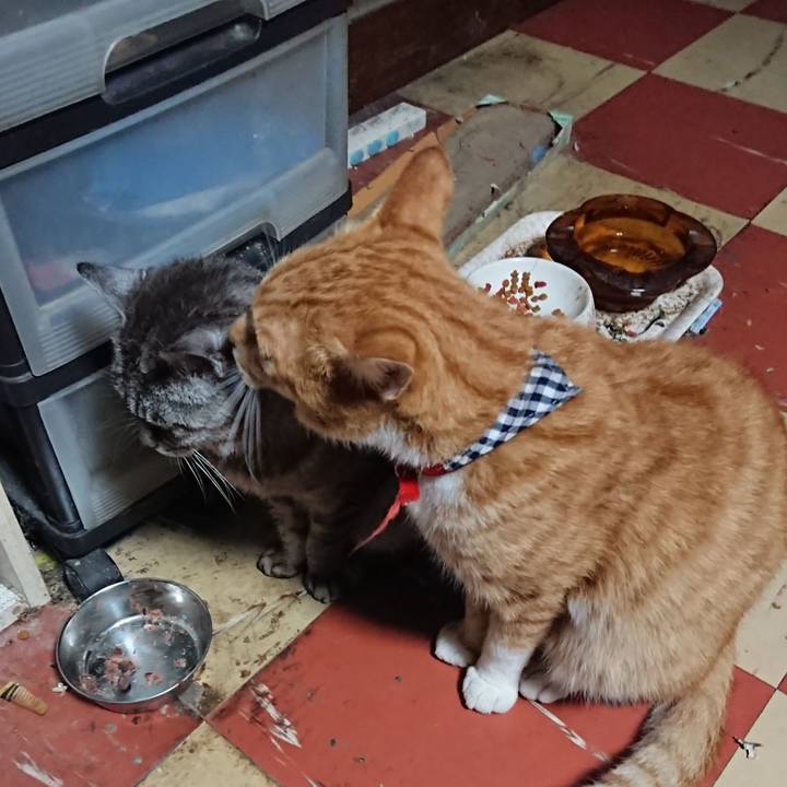 2253d67f fec8 4d85 8c05 e7356b8c6013 1569183273432