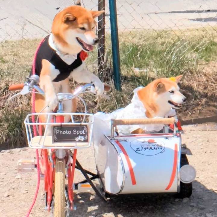 2253ddec 6693 4168 837f 9387ab03335c 1713192258260