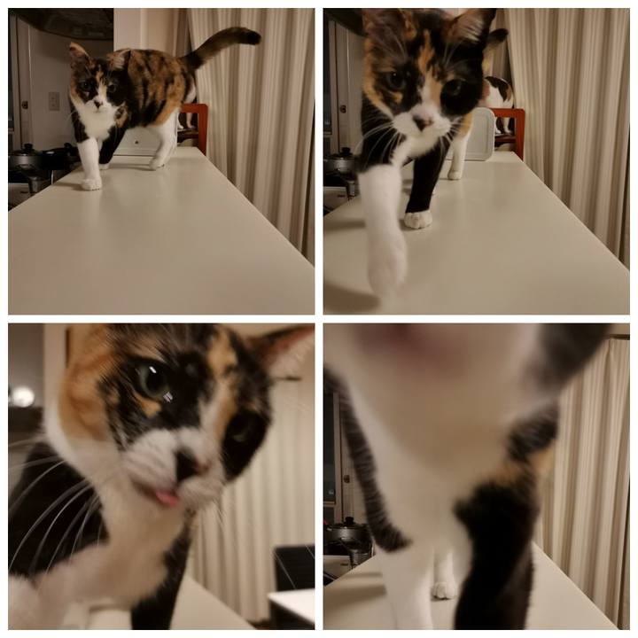 2253ed7a 8f05 482b 83db 71b81d7b096c 1637295205919