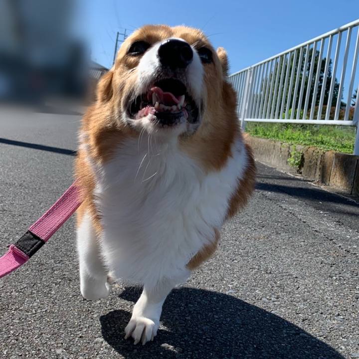 2253f19d 47af 4280 8d60 9772f04e8f06 1696556058524