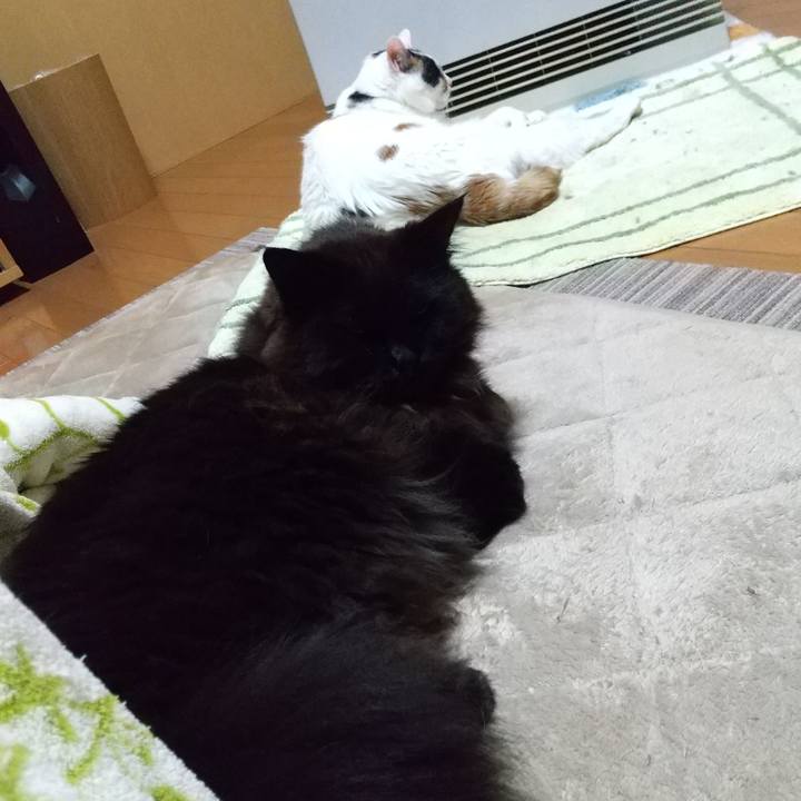 225402d7 9fe9 4d63 9fa4 d7a89cda13f8 1676276695173