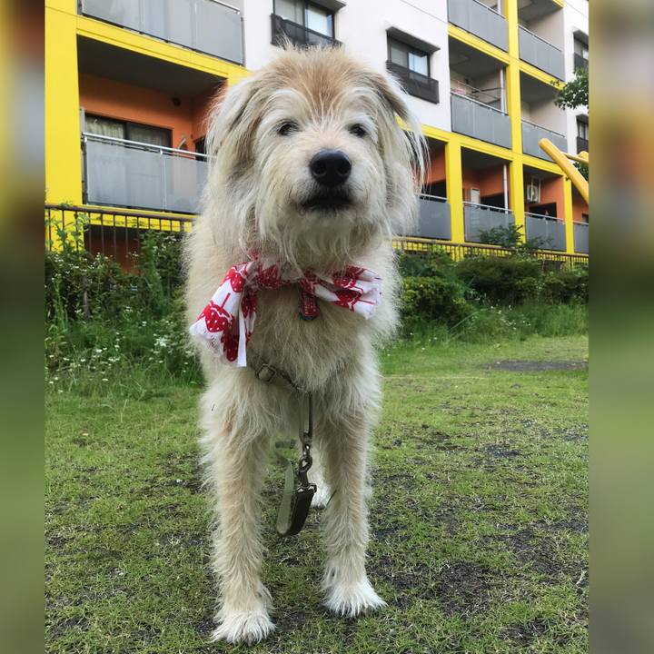 22540fd1 2546 4069 9129 83968c81d27e 1623491359184