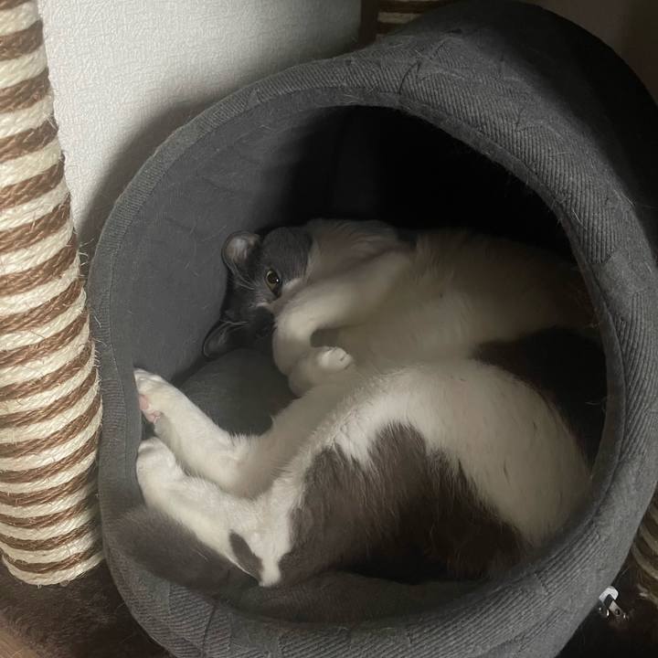 22542932 33a5 4d51 ac8c 2ecaddfbd01b 1664262560617