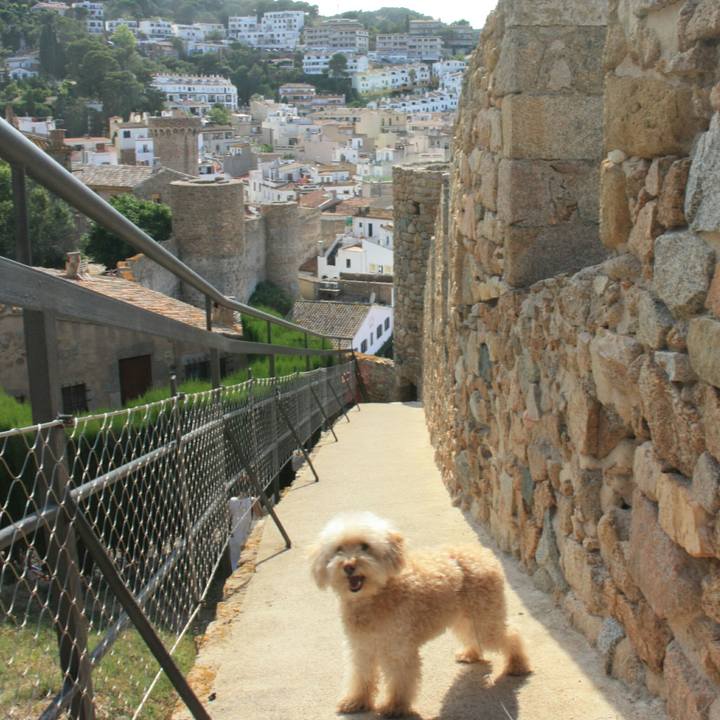 22542ee9 4cf4 43e2 be5c b83166b94b30 1530188781876