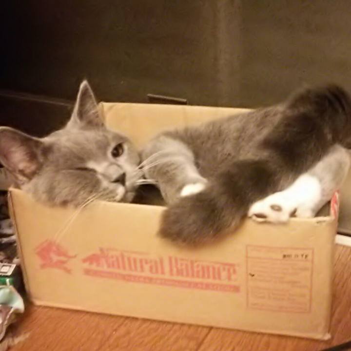 22543211 23ef 444c 8165 537e848a8f6e 1541371280608