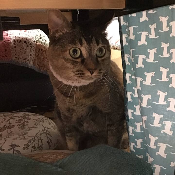 2254328a 1612 4566 93a6 ac445f955bab 1753184098252