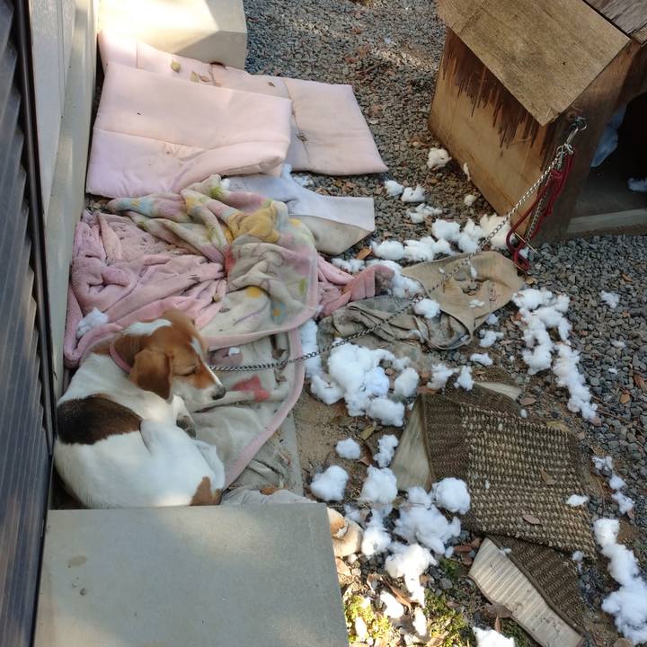 22546dd2 d716 4f3a a21c 98de1cf1d518 1576199900422