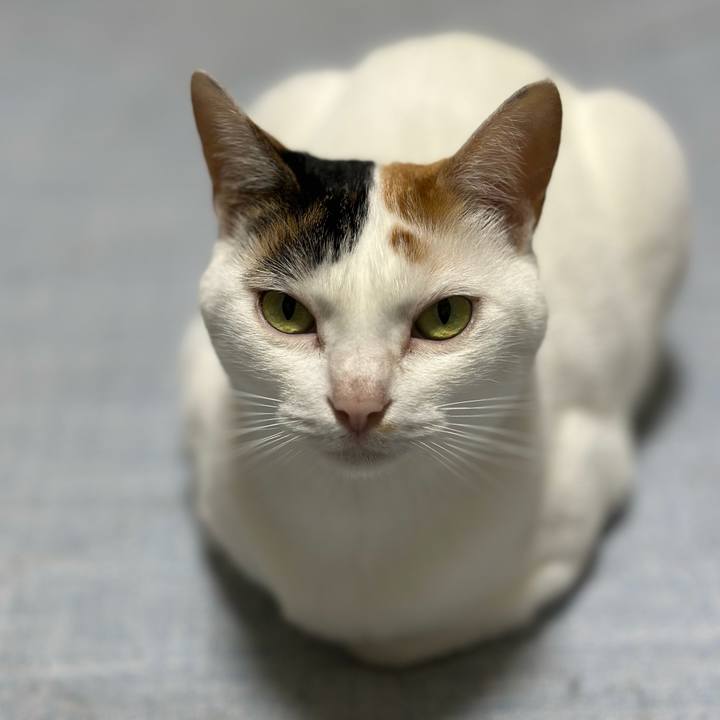 22549992 81a0 4ecd 931f 1e9a88abf0d7 1686738311572