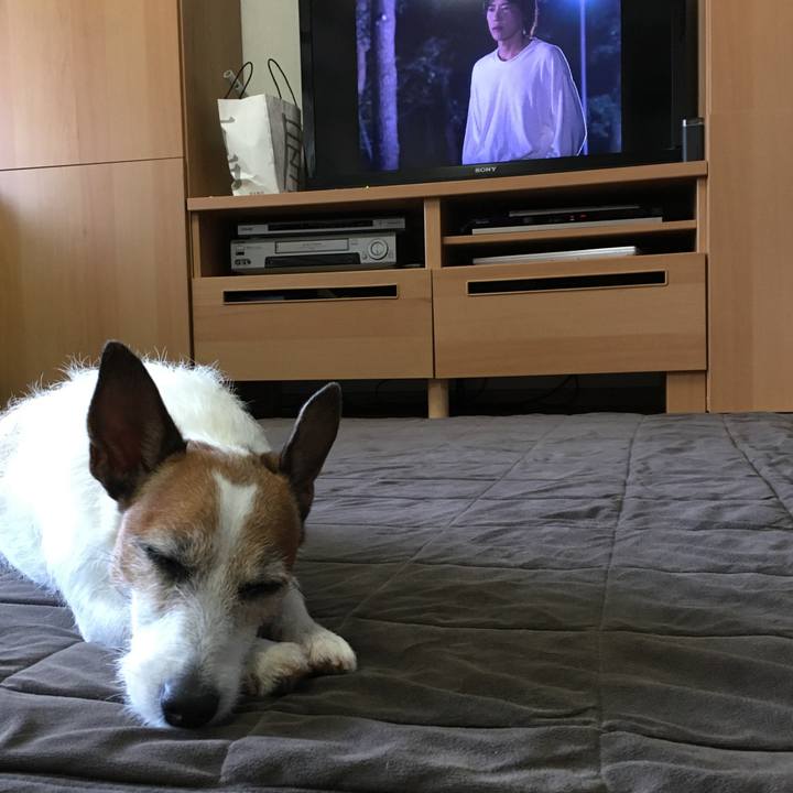 22549eb7 279f 4cb4 ac52 561d28bbcb4b 1591654899451