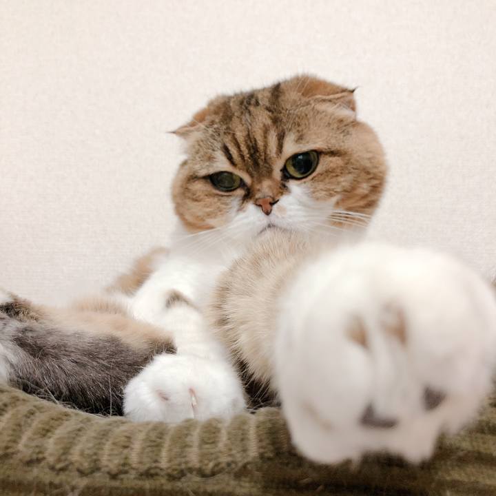 2254aea7 9862 43bc a50b 04b62c119a86 1560570528541