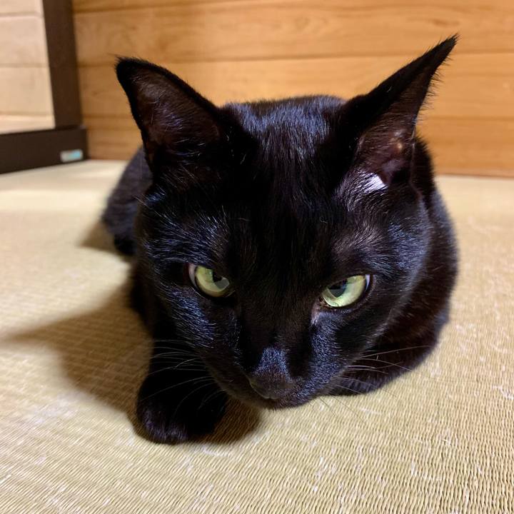 22550219 bcb1 429c 9d7b b7e62dcd2e4b 1638540003175