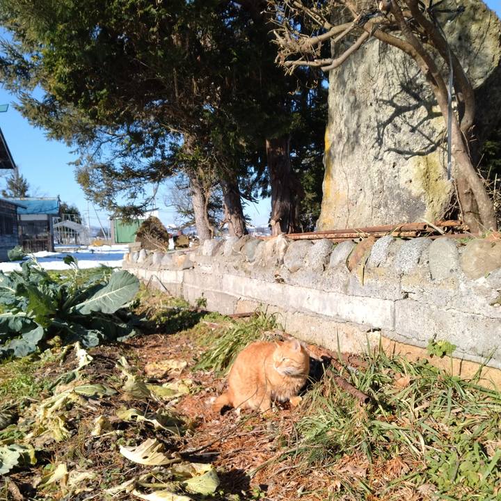 2255150a 18c3 451d be23 2f41af35bdfa 1703727855634