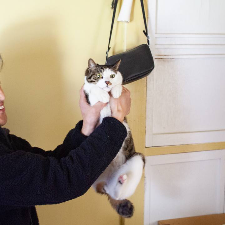 225528f4 b628 4e30 a440 64dab88aa9c7 1555141853574