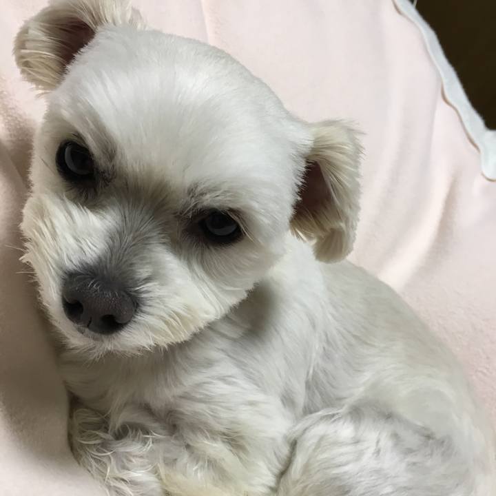 225536c6 da8b 4289 87ec c40125851c8c 1512218055724