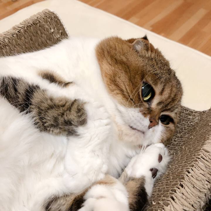 22554e1f 1fb5 4aa4 ab37 1c15e00b6f1b 1600034653672