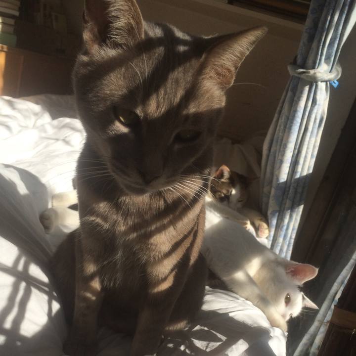 22555aab dc95 4e93 8b23 0ef86af5d58c 1544874728536