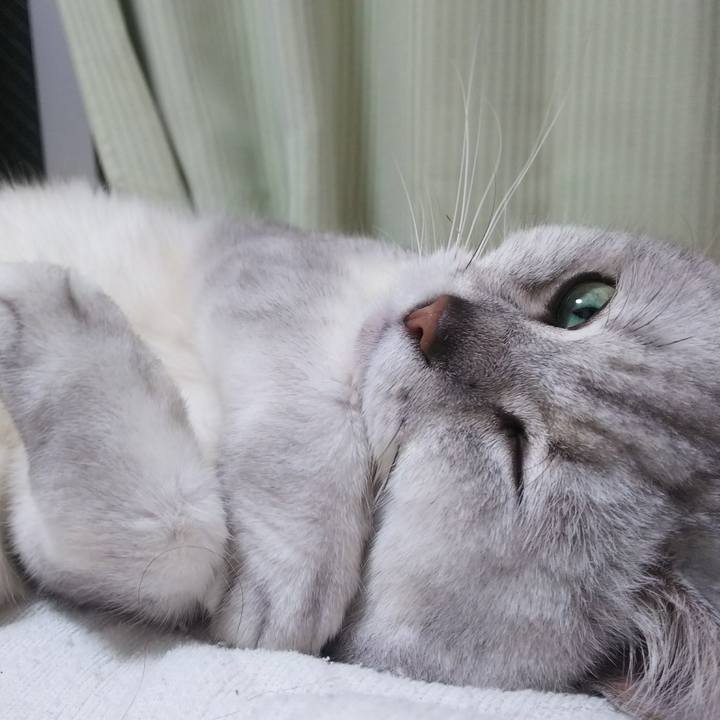 2255745b 5dc7 4fb9 9088 57e92965ad44 1529414853137