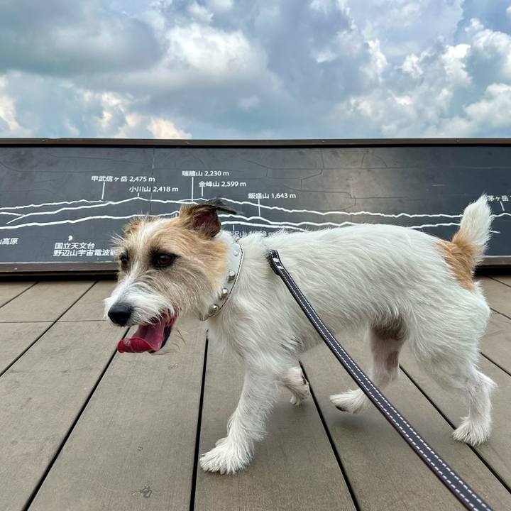 22557d5a 531b 498c b967 7a0874b4e42a 1722781479813