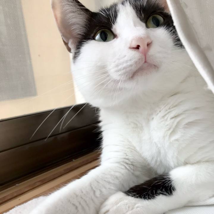 22557f9f 8ff9 4bc0 a97c 89092ede1e46 1537839234659