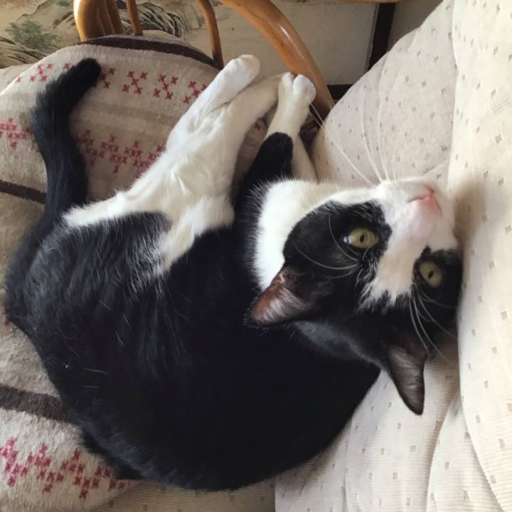 225587c8 4e94 46ab 94a1 51b4067786c0 1724661445562