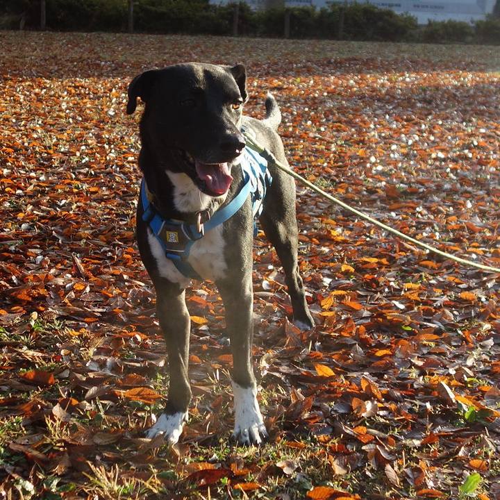 22558a09 af4f 49b6 ae99 feaec3ff0bd0 1607213220371