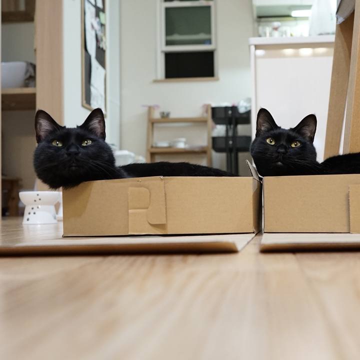 2255bc97 b9bb 4ac5 8f19 923e32e9a279 1558796663524