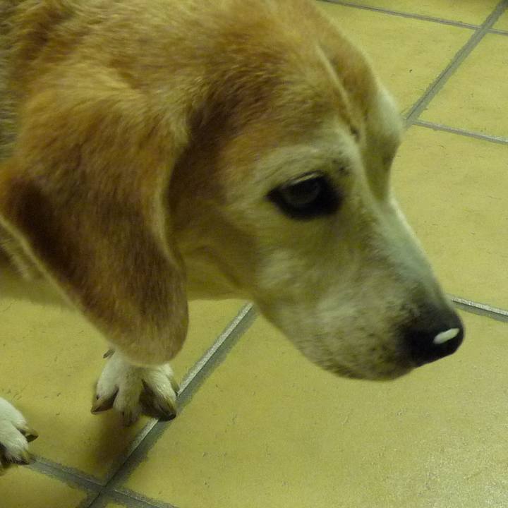 2255c0c3 2b01 4436 8d51 e5b667442ffc 1704762359855