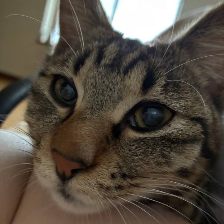 2255cc24 eaf2 41ee 8bd7 0f2fdcd1d269 1747905386517